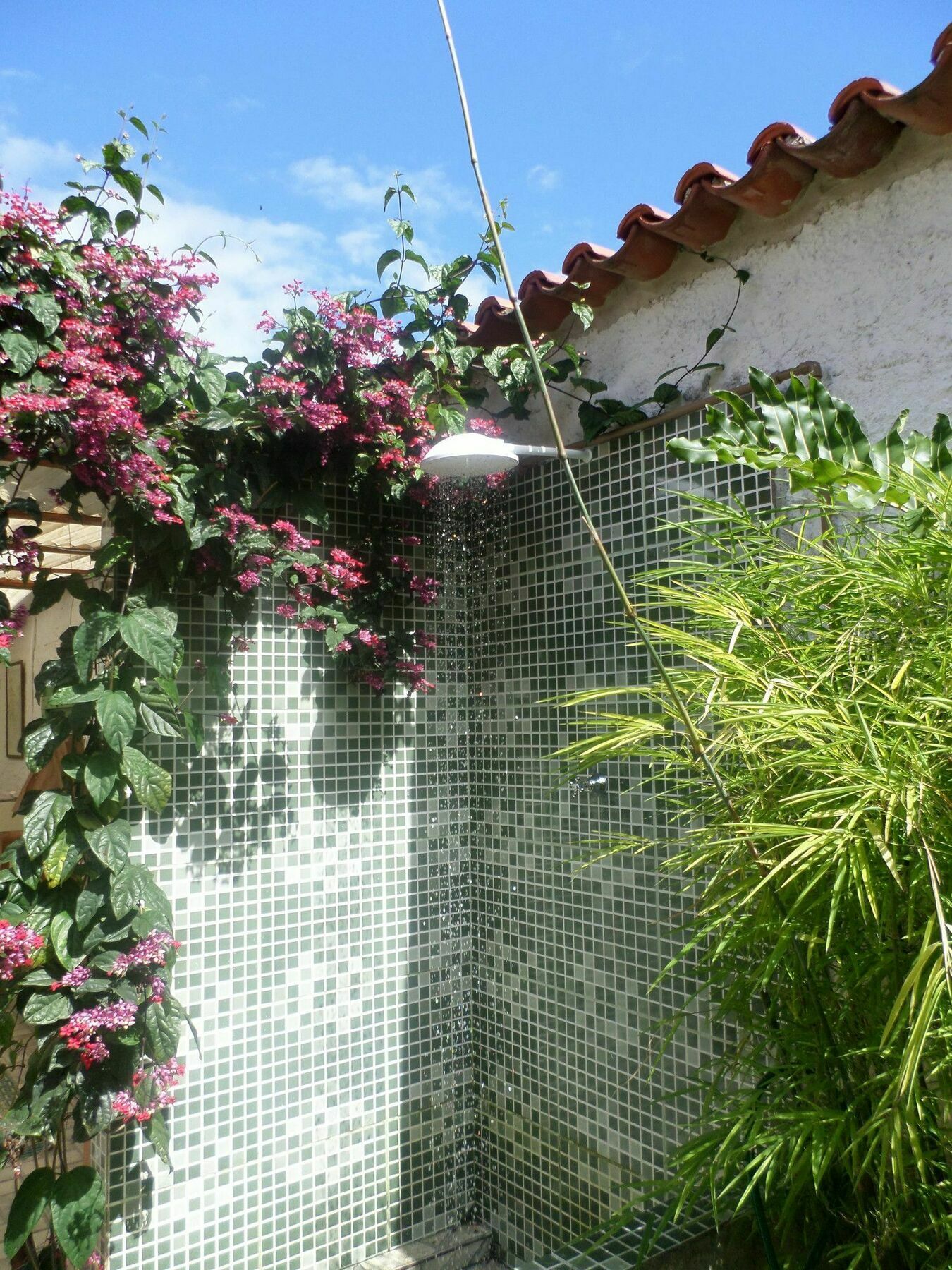 Pousada Pouso Do Campo Paraty Exterior photo